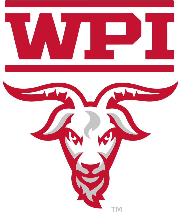 WPI logo (1)